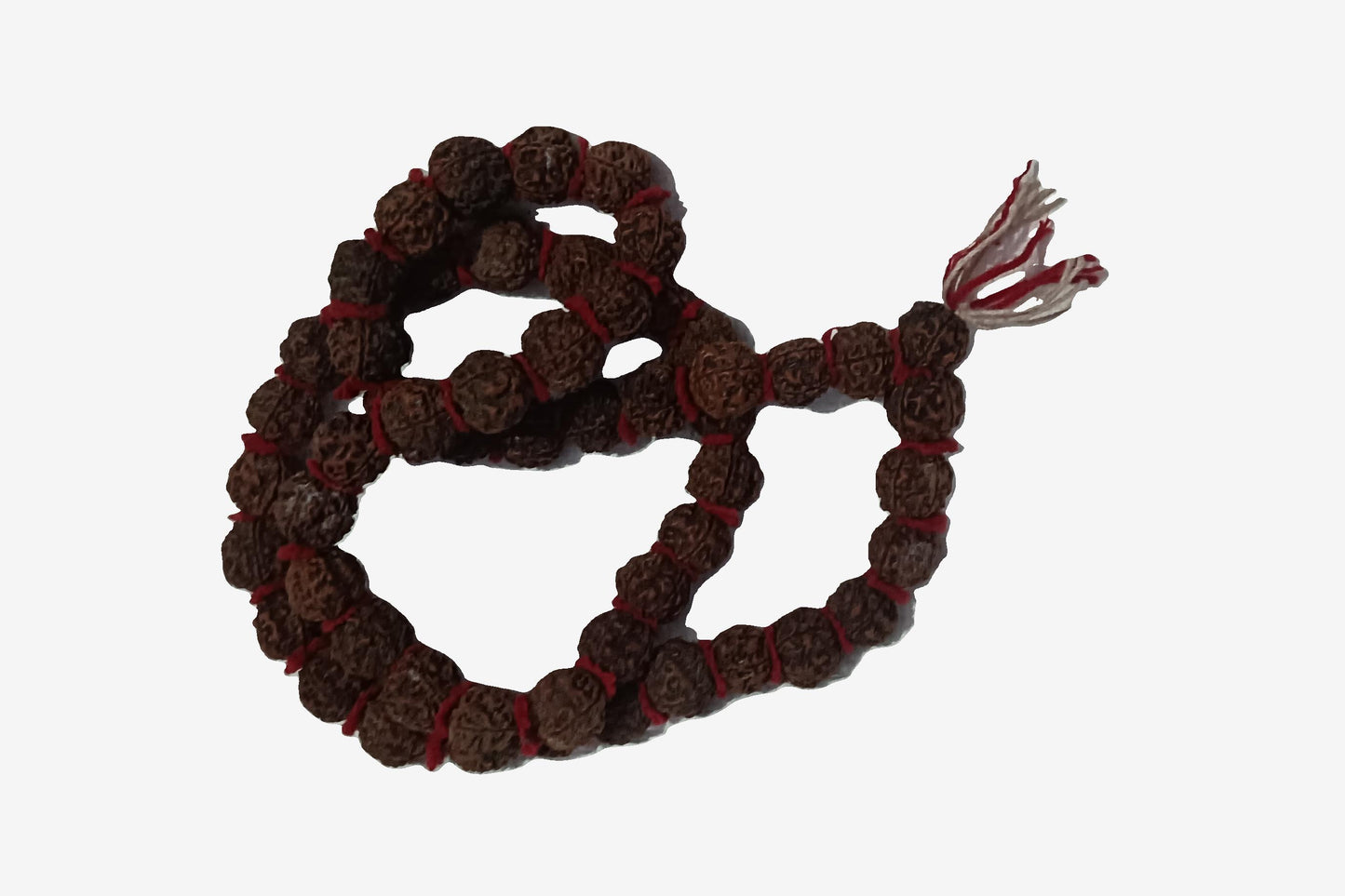 PASHUPATINATH SE SIDH KIYA GYA RUDHRAKHSA