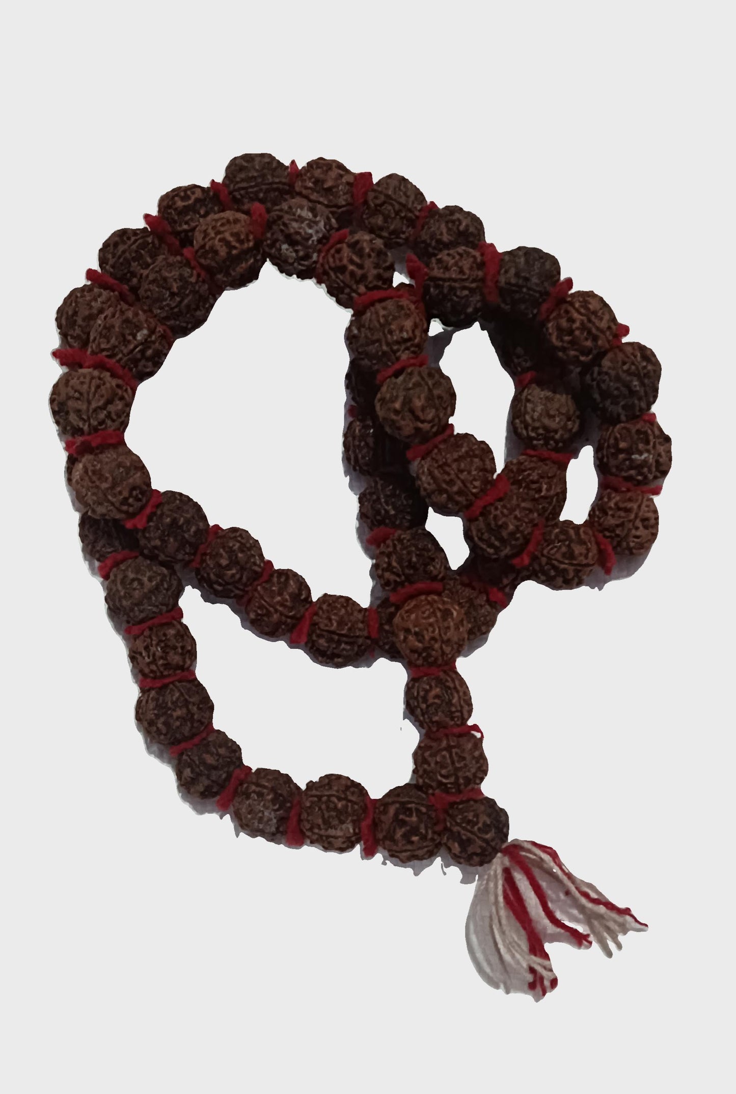 PASHUPATINATH SE SIDH KIYA GYA RUDHRAKHSA